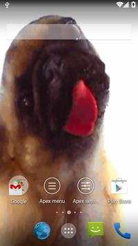 Dog Lick Screen Cleaner screenshot 4