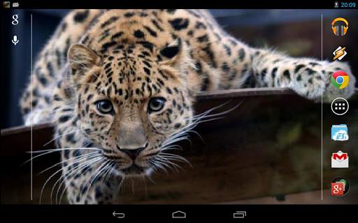Magic Touch: Leopard Live Wallpaper screenshot 5