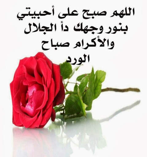 رسائل و كلمات صباح و مساء الخير جديدة screenshot 1