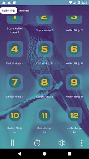 Pancingan Suara Kolibri Ninja screenshot 3