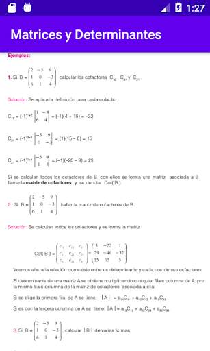 Matrices y Determinantes screenshot 8