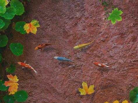 Water Koi Fish Pond LWP screenshot 13
