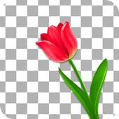 Erase Background: Bg Changer 1.0