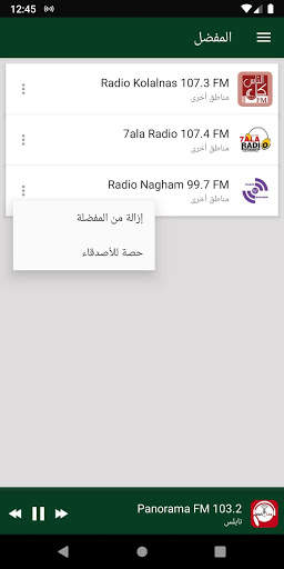 Palestine Radio Stations скриншот 7