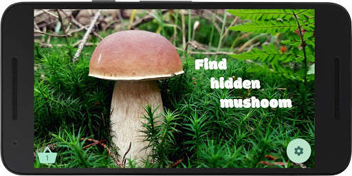 Mushroom picker 2 - try to find real mushrooms screenshot 1