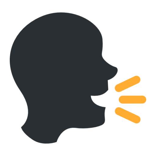 Speech to Text 1.1
