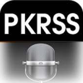 voice speak king logo