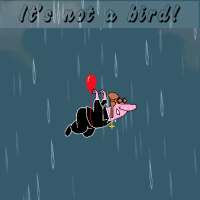 It's Not A Bird!