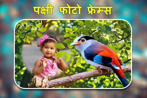 पक्षी फोटो फ्रेम्स। स्क्रीनशॉट 2