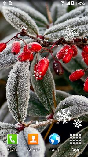 Winter Flowers Live Wallpaper screenshot 5