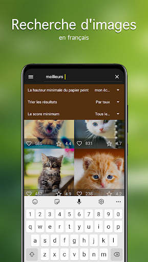 Fonds d'écran avec des chats screenshot 3