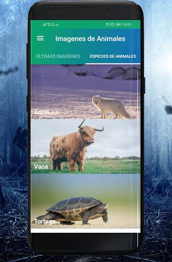Fondos de Animales screenshot 4
