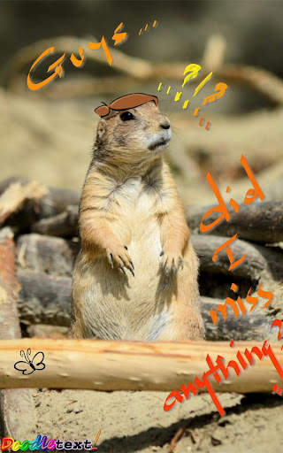 Doodle Text!™ Photo Effects screenshot 14