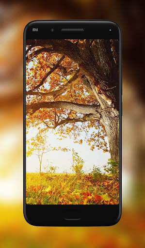 Nature Wallpaper screenshot 5