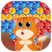 Bubble Cat