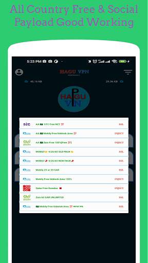 HAGU VPN screenshot 3