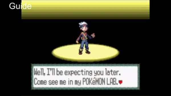 CODE For Pokemon Ruby(GBA) screenshot 5