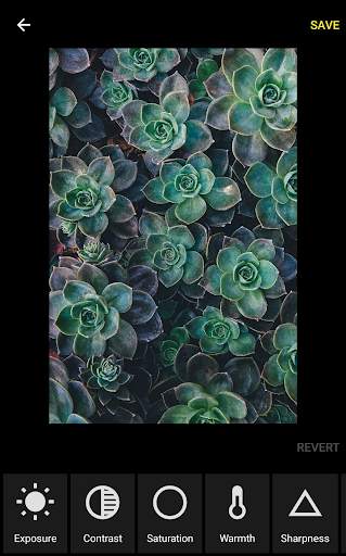 Grafo Photo Studio screenshot 2