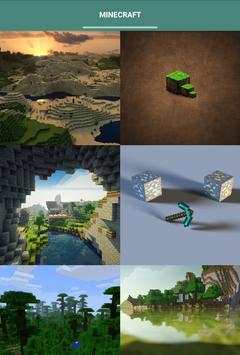 HD Wallpapers for Minecraft screenshot 2