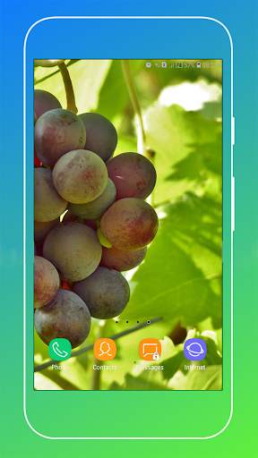 Grapes Wallpapers HD screenshot 7