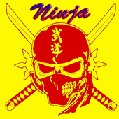 Ninja 2 icon