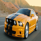 Car Speed Racing icon