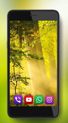 Forest Gallery Live Wallpaper screenshot 5