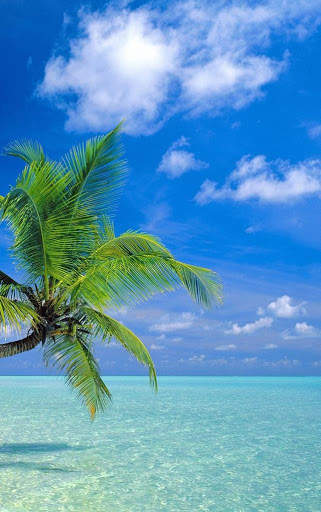 Beach HD Wallpaper screenshot 1
