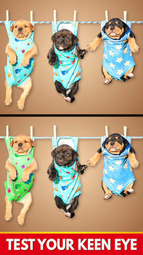 Find The Differences - Spot it screenshot 3