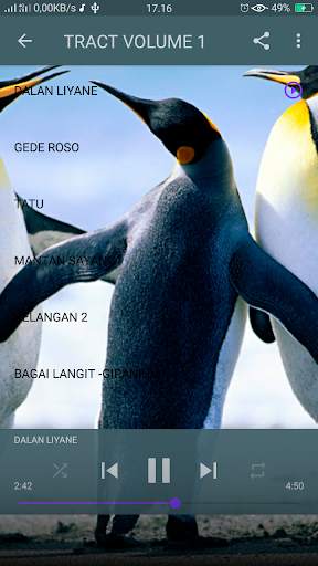 Dhevy Geranium Reggae Cover - Offline screenshot 2