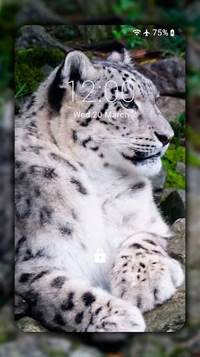 Snow Leopard Wallpaper HD : backgrounds & themes screenshot 5