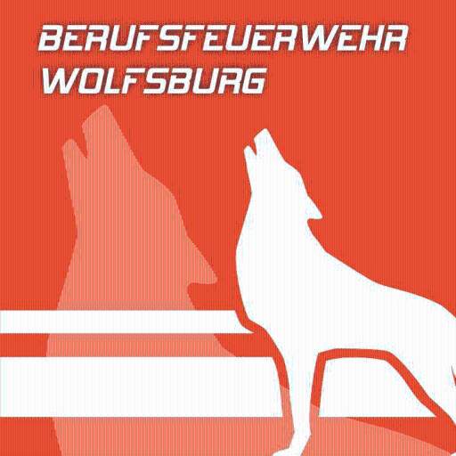BF Wolfsburg 2.10