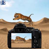Desert Animal Photography on 9Apps