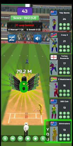 Run Chase (Cricket) screenshot 8