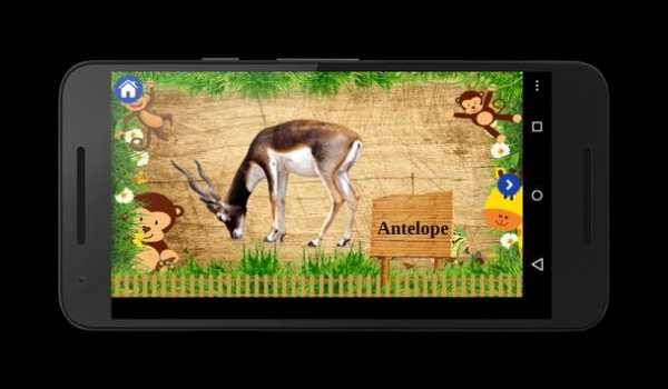 Animals & Birds for Kids screenshot 7