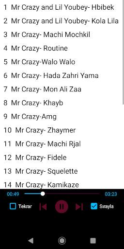 Mr Crazy Popular Songs Offline screenshot 1