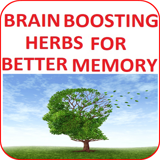 Brain-Boosting Herbs for Better Memory icon