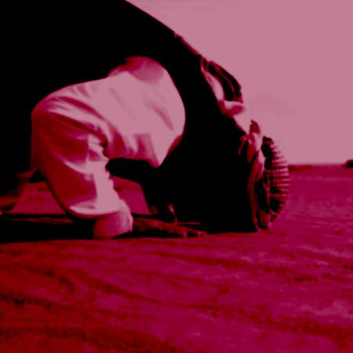 صفة الصلاة بالصور وبدون انترنت 2.0