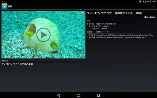 WS Player screenshot 7