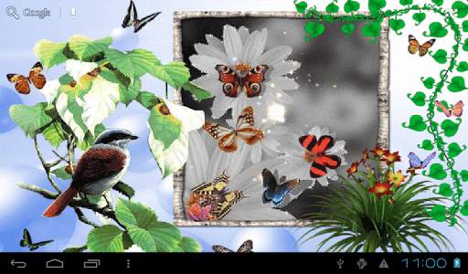 Animated 3D Butterfly screenshot 11