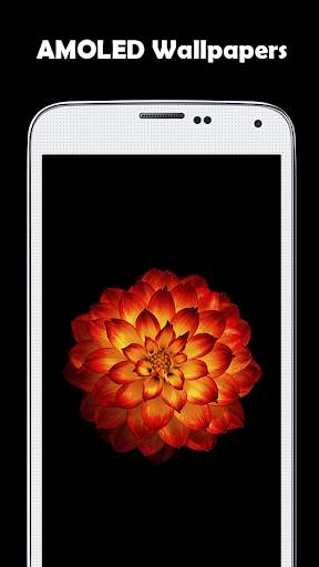 AMOLED Wallpapers 10000  2 تصوير الشاشة