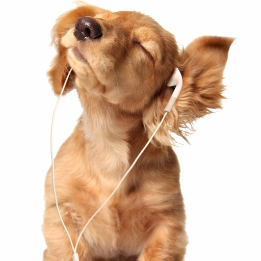 Cute Puppy Wallpapers icon