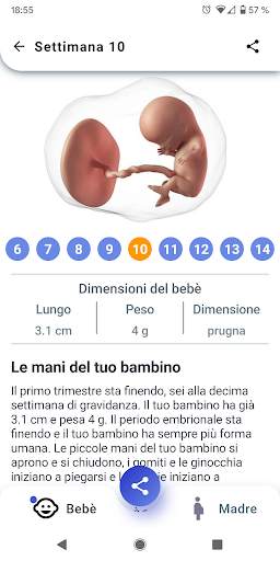 Mia Gravidanza Ogni Settimana screenshot 2