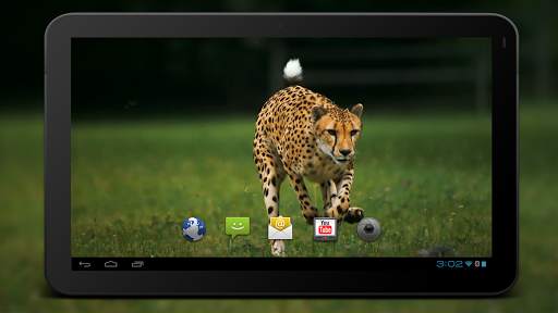 4K Cheetah Sprint Live Wallpaper screenshot 6