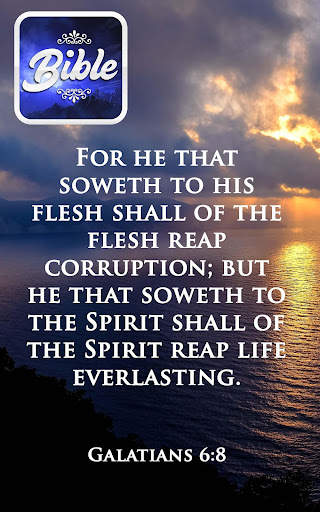 KJV Bible offline in english screenshot 17