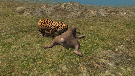 Real Cheetah Cub Simulator screenshot 3