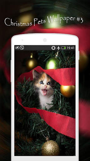 Christmas Pets Wallpapers screenshot 4
