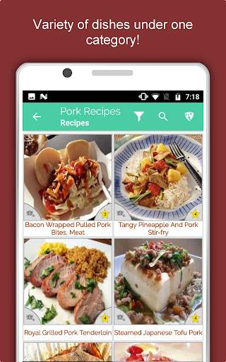 All Pork Recipes Offline : Ham, Roast, Grill, Chop screenshot 12