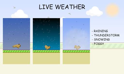 Running Dog Live Wallpaper screenshot 3