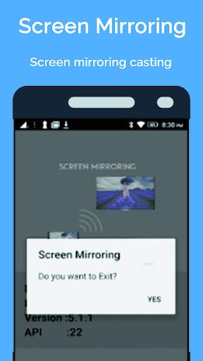 Screen Mirroring Sony Bravia screenshot 3
